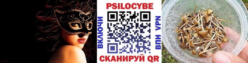 Псилоцибиновые грибы Cubensis  ОМГ ОМГ ТОР  Дыгулыбгей 